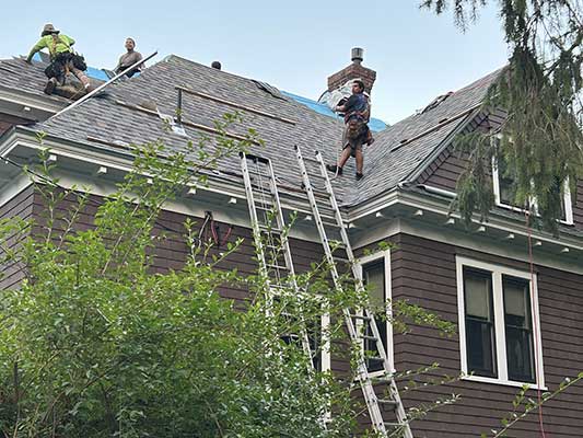 Expert Roof Replacement Services