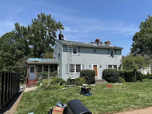 Professional Roofing Services